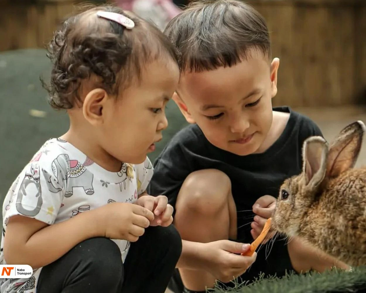 Feeding Rabbit<br/>Source by Instagram @scientiasquare.park
